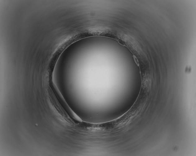 X0000097490448200802221419