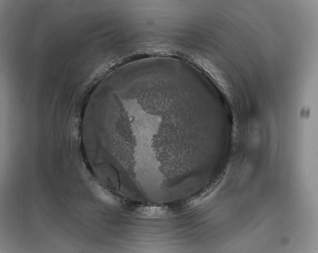 X0000097490449200802221419