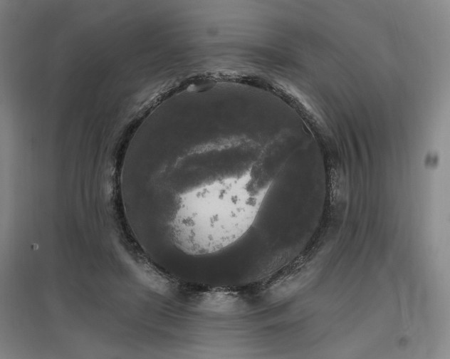 X0000097490451200802221419