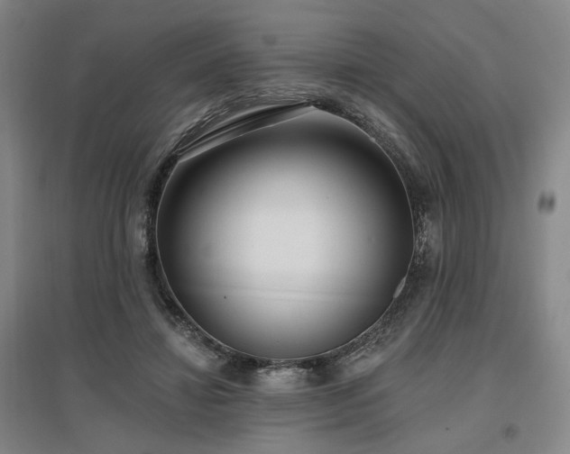 X0000097490452200802221419