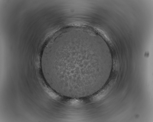 X0000097490453200802221419