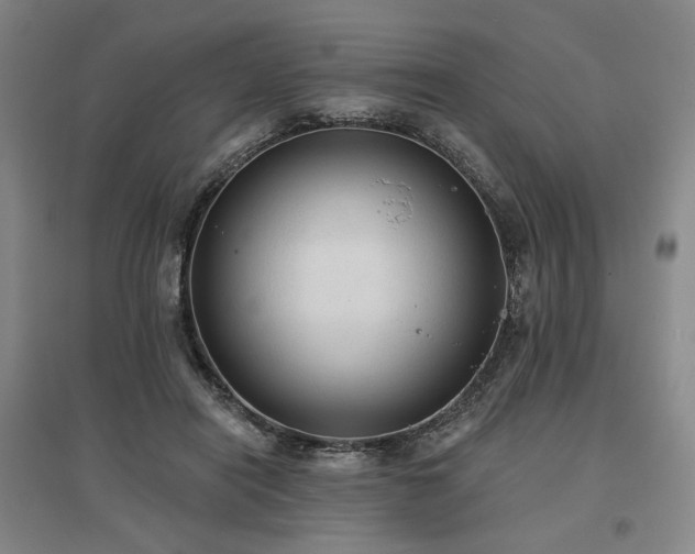 X0000097490454200802221419