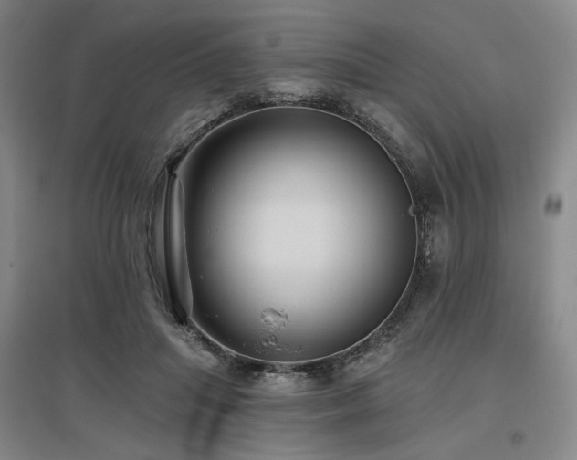 X0000097490455200802221419