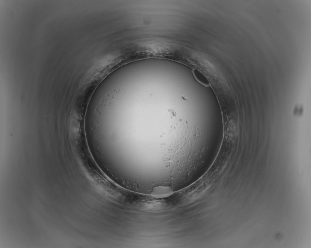 X0000097490456200802221419