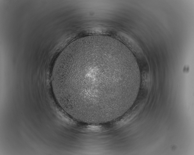 X0000097490457200802221419