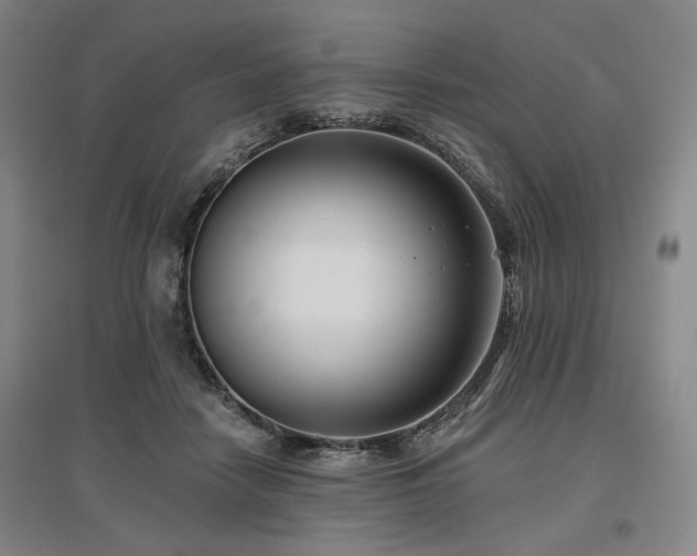 X0000097490458200802221419