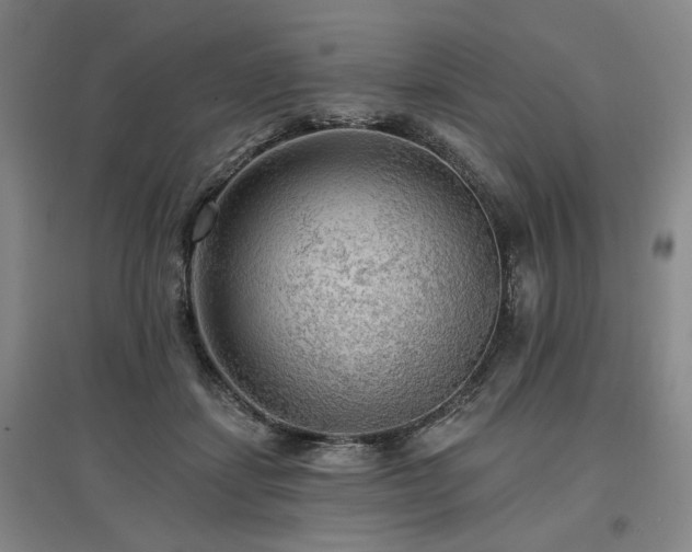 X0000097490459200802221419