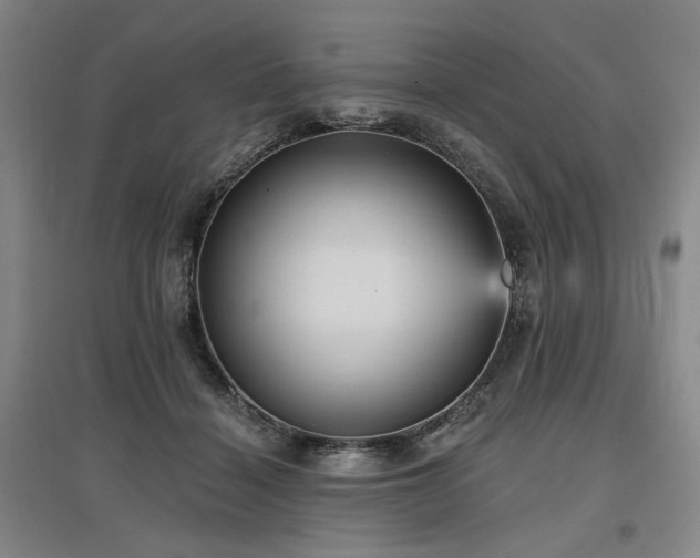 X0000097490460200802221419