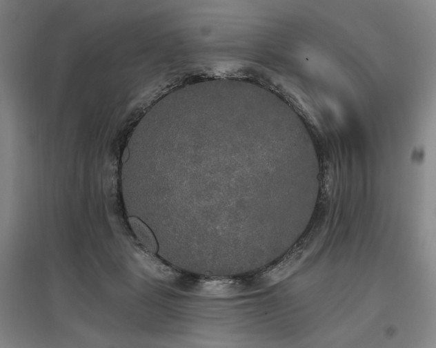 X0000097490461200802221419