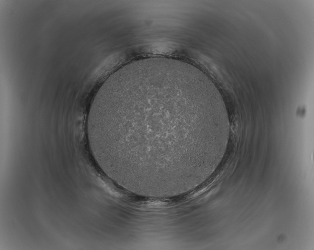 X0000097490462200802221419