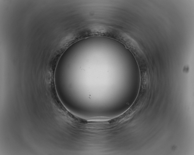 X0000097490463200802221419