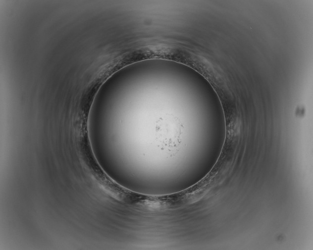 X0000097490464200802221419