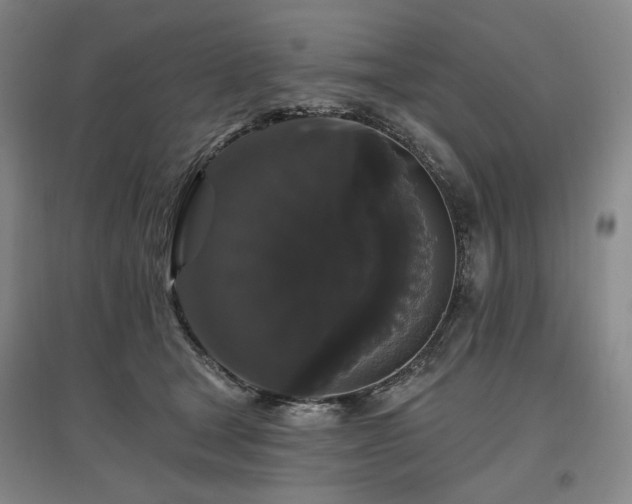 X0000097490465200802221419