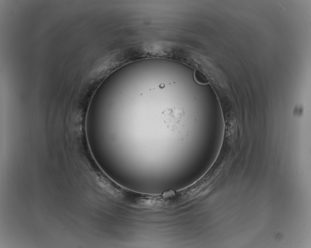 X0000097490466200802221419