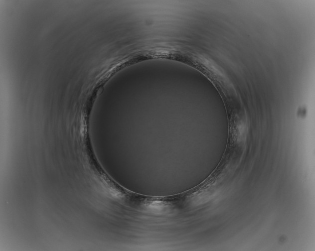 X0000097490467200802221419