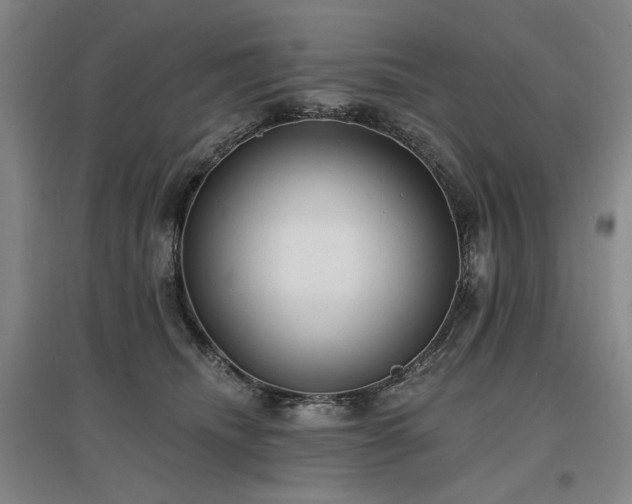 X0000097490468200802221419