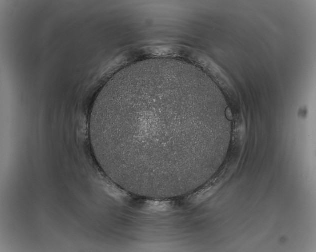 X0000097490469200802221419