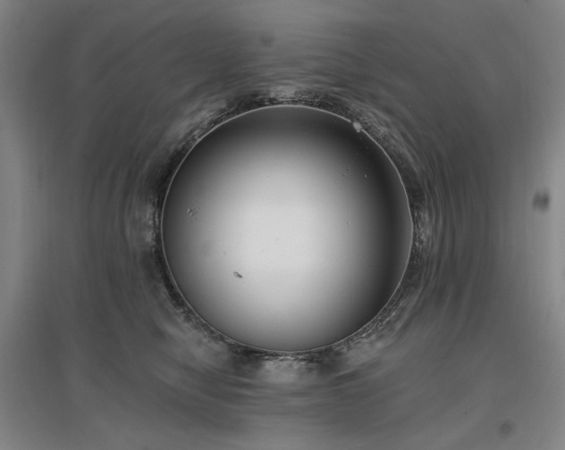 X0000097490470200802221419