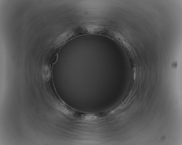 X0000097490471200802221419