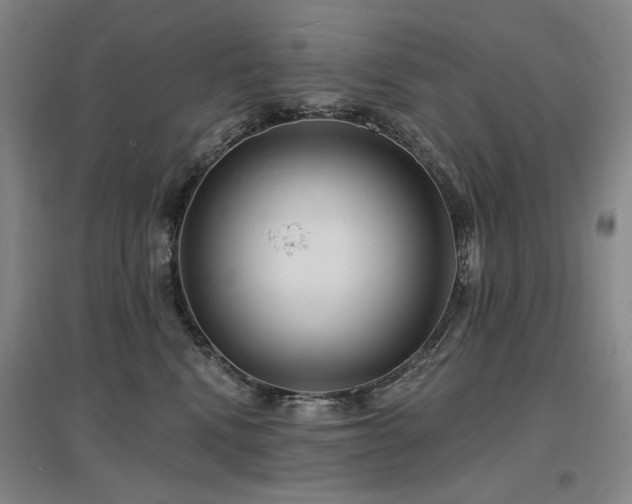 X0000097490472200802221419