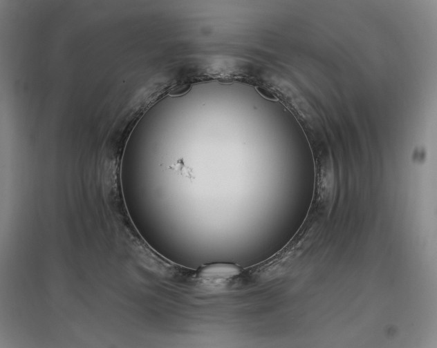 X0000097490473200802221419