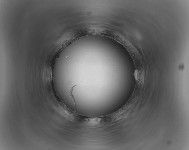 X0000097490474200802221419