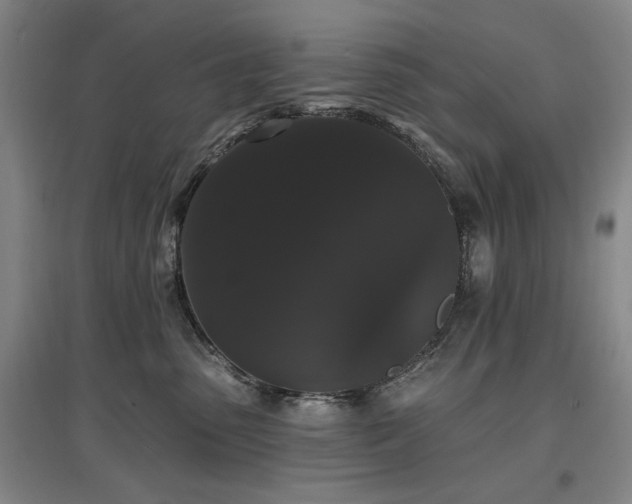 X0000097490475200802221419