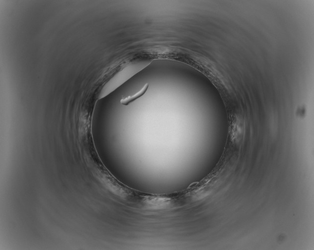 X0000097490476200802221419