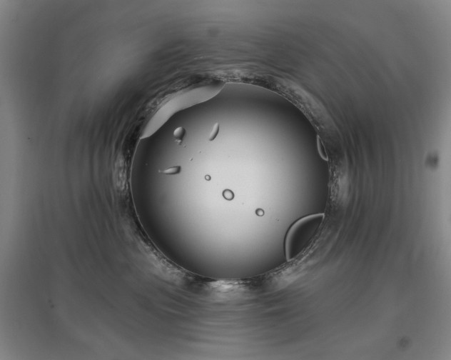 X0000097490477200802221419