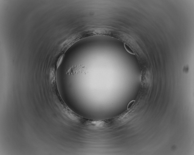 X0000097490478200802221419