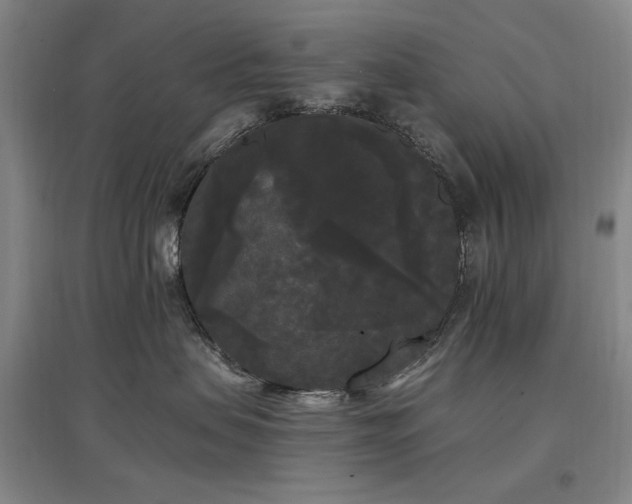 X0000097490479200802221419