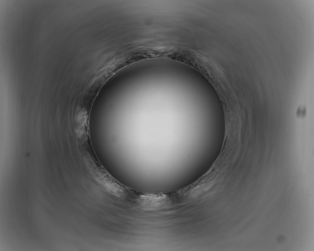 X0000097490480200802221419