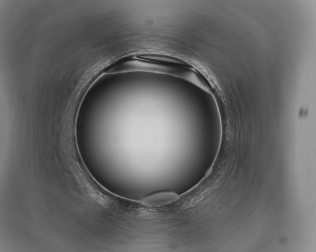 X0000097490481200802221418