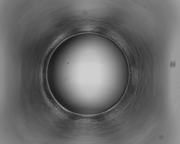 X0000097490482200802221418