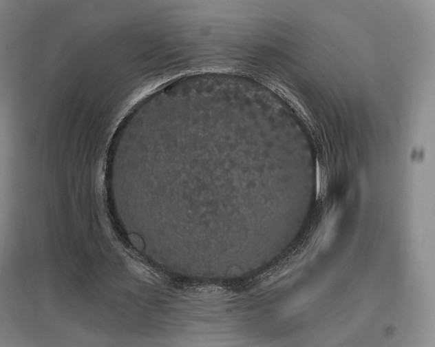 X0000097490483200802221418