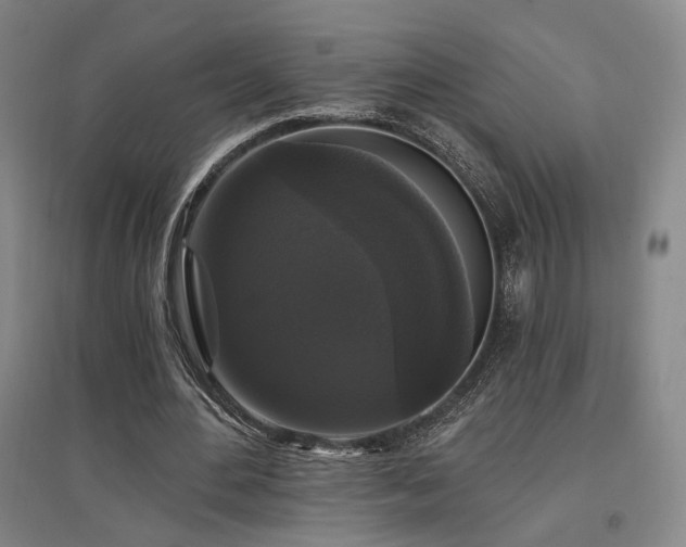 X0000097490484200802221418