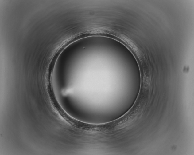 X0000097490485200802221418