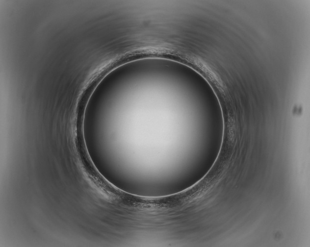 X0000097490486200802221418