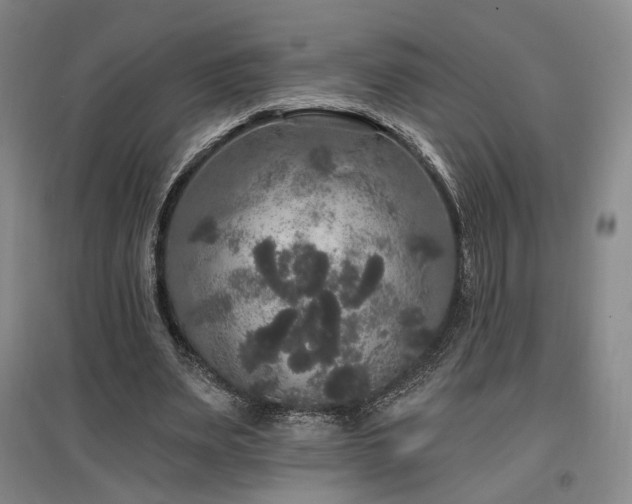 X0000097490487200802221418