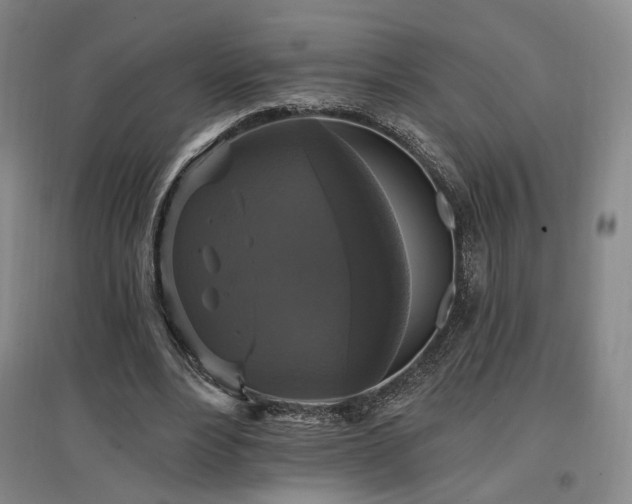 X0000097490488200802221418