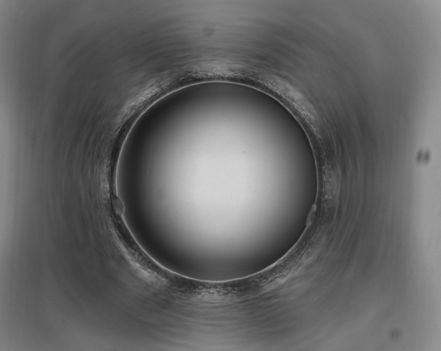 X0000097490489200802221418