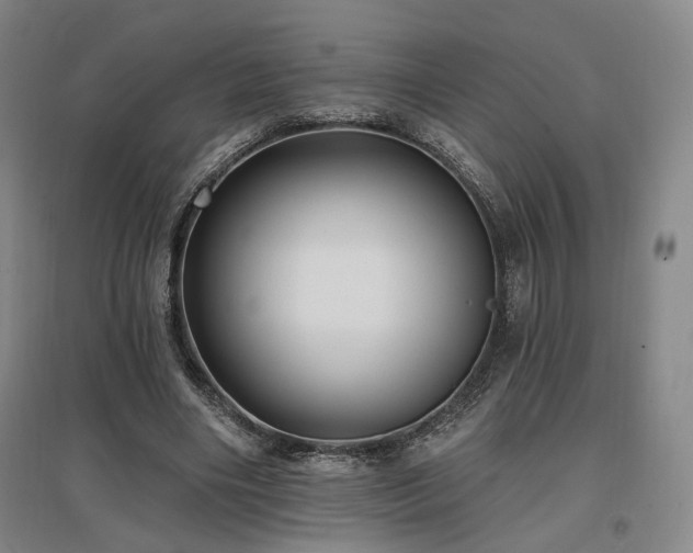 X0000097490490200802221418