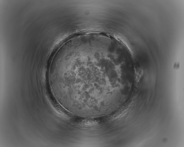 X0000097490491200802221418