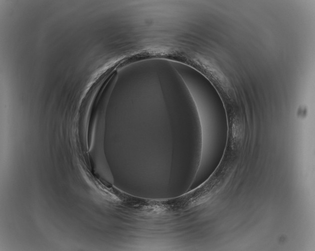 X0000097490492200802221418