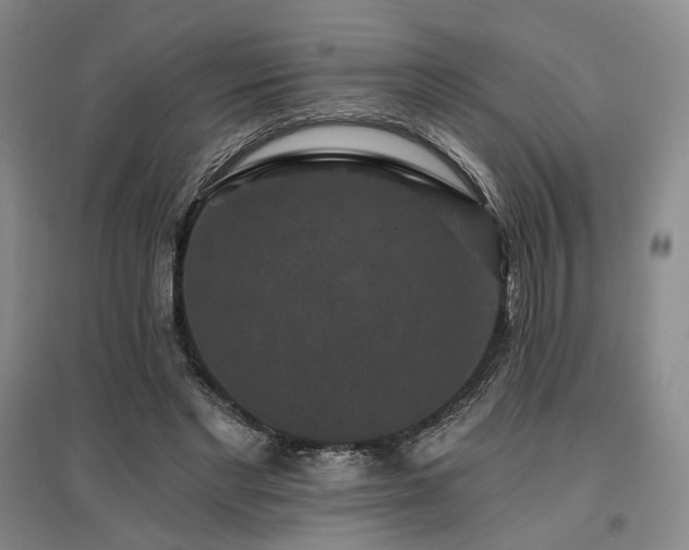 X0000097490493200802221418