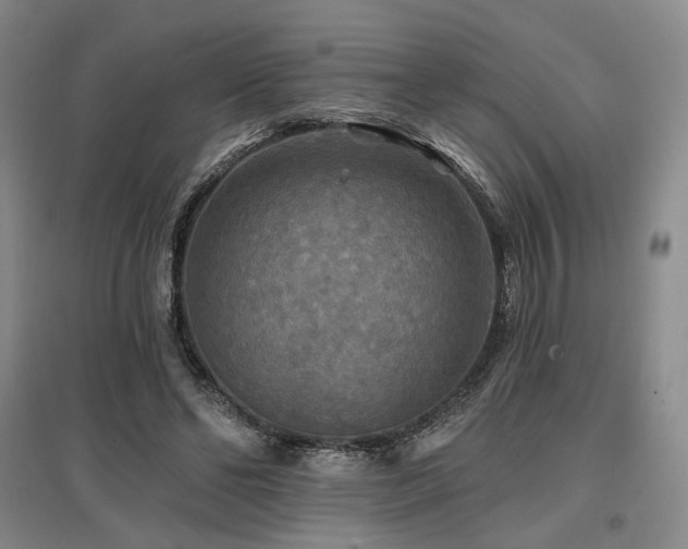 X0000097490494200802221418