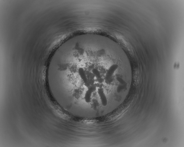 X0000097490495200802221418