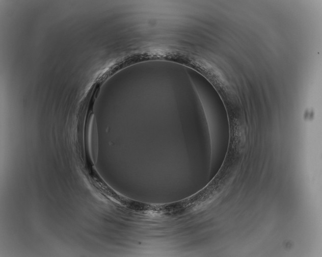 X0000097490496200802221418