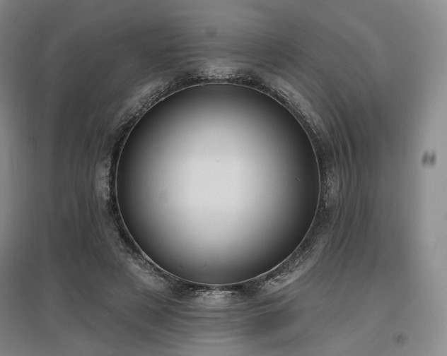 X0000097490497200802221418