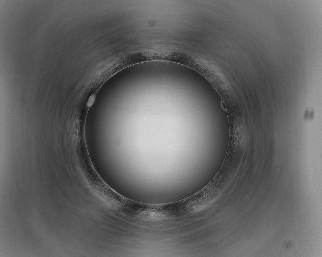 X0000097490498200802221418